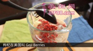 goji_intoblender