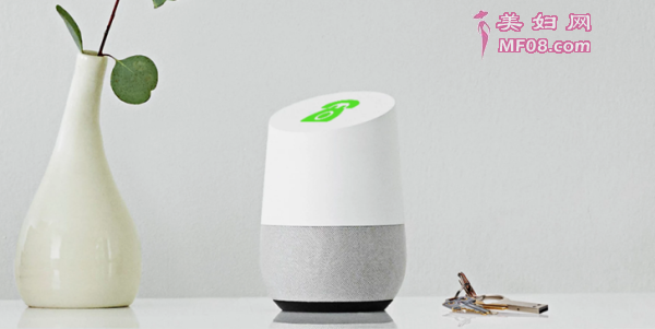 Google Home